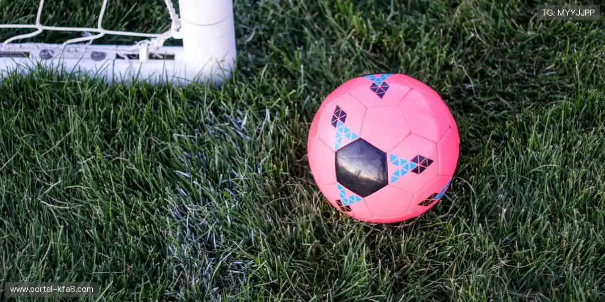 色碟视讯游戏平台:红白双色简单刺激,极速开奖无需等待